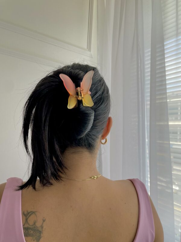 Pinza mariposa degrade