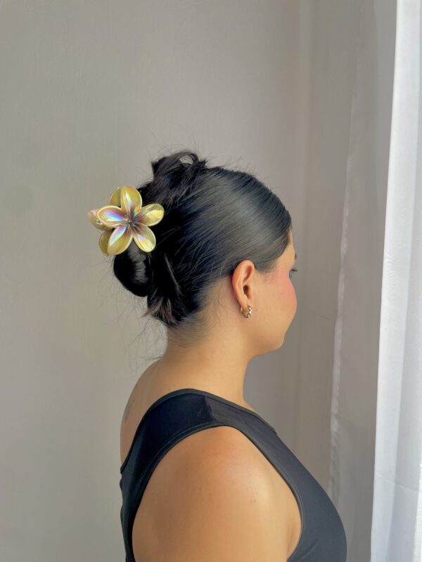Pinza hawaiana tornasol - Image 7
